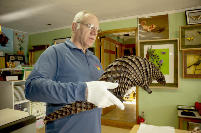 Richard Alexander holding origami African Pangolin, designed and folded by Eric Joisel from a single, uncut 2 m square of wrapping paper.