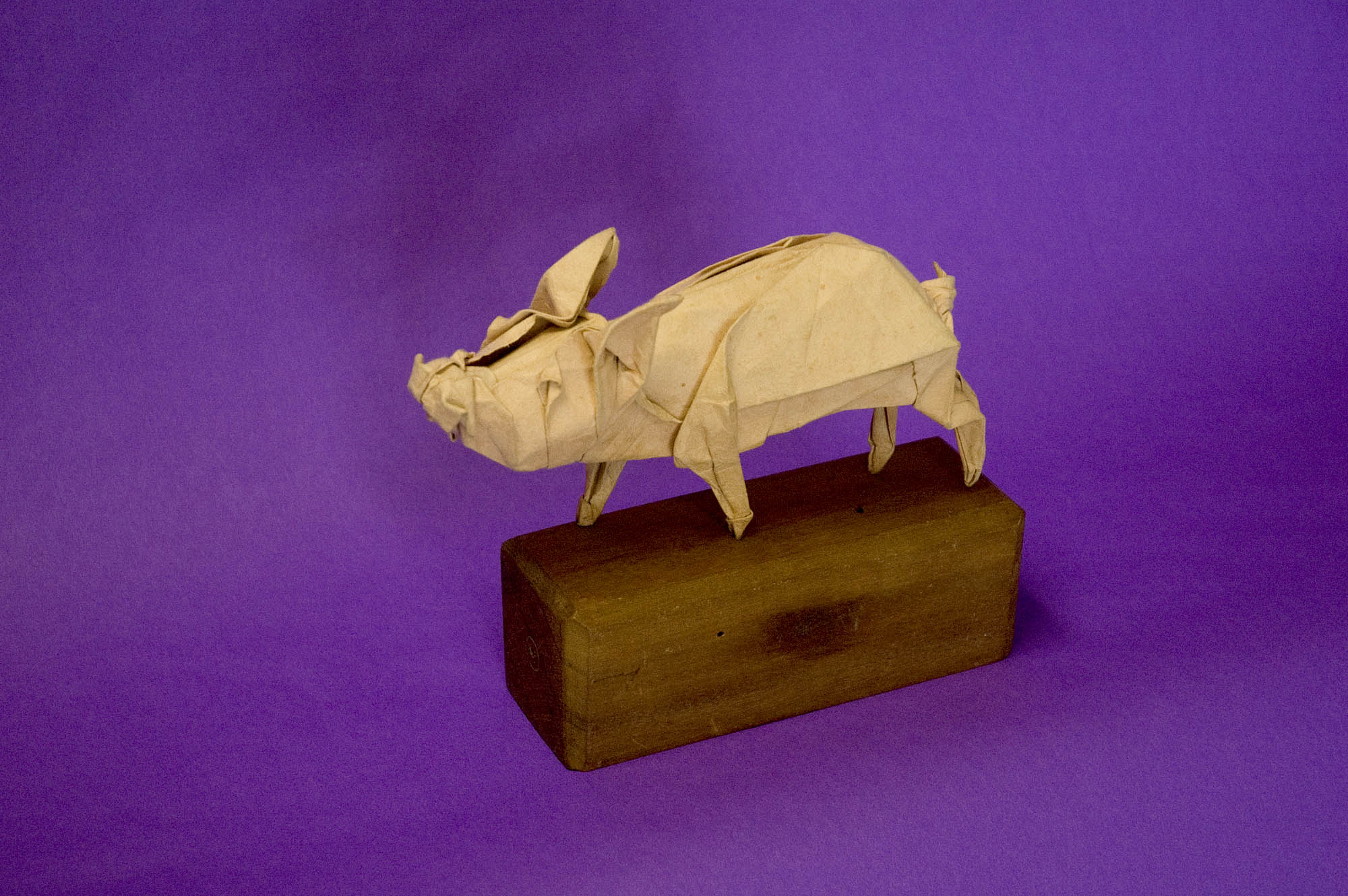 Wilbur the Piglet, origami designed and folded by Michael from his own handmade paper.