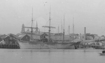 1880s ships in Gloucester Harbor. Smithsonian Institution Archives.