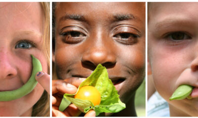 Triptych of 3 smiling young people involved in a Sustainable CAPE project