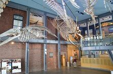 Interior of New Bedford Whaling Museum