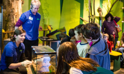 Children look on at a demonstration at the Ecotarium.