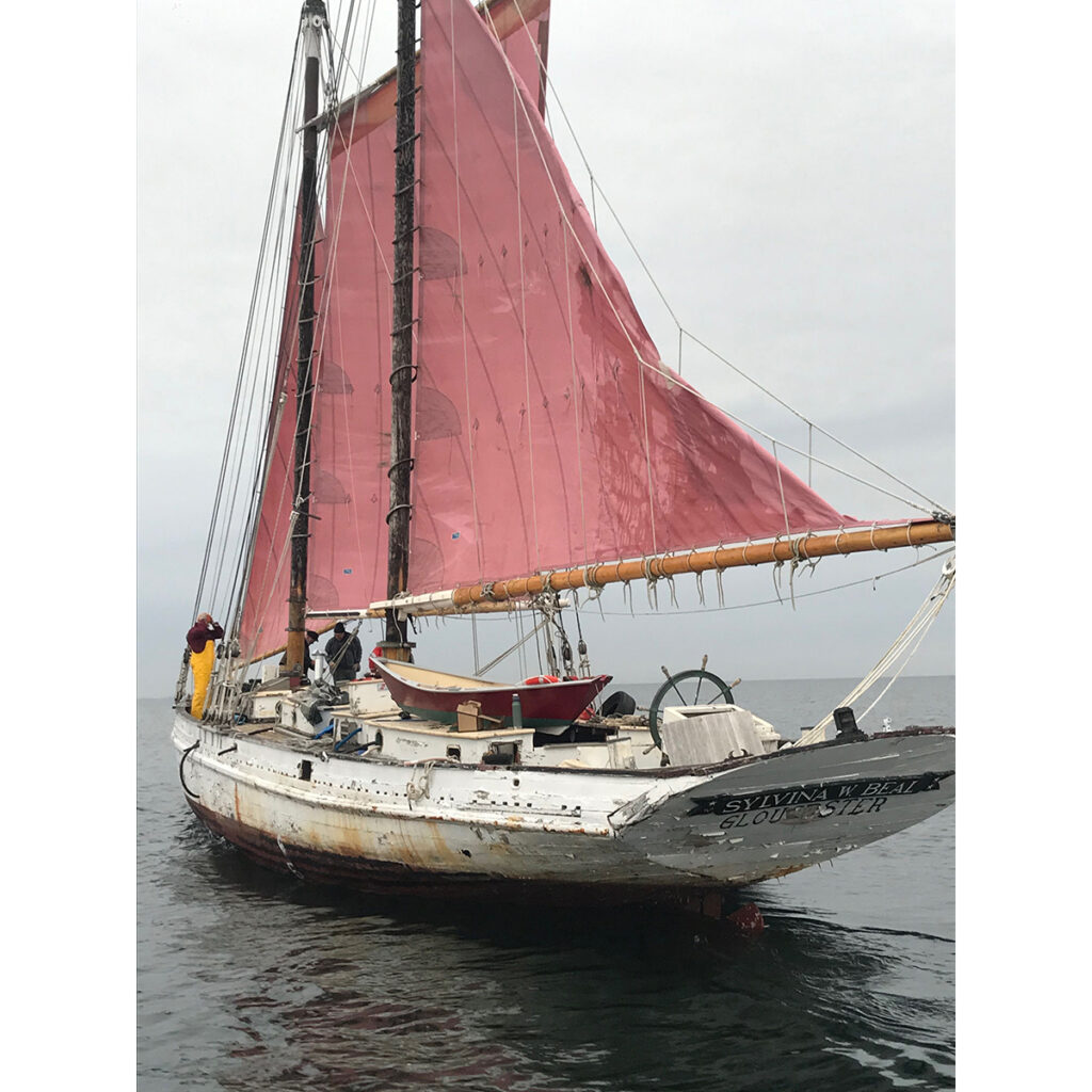 The schooner Beal on her way to Harold Burnham’s shipyard. Photo courtesy of Harold Burhnam.