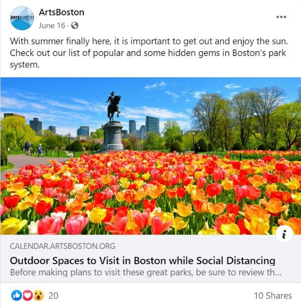 field of tulips in bloom in Boston Garden