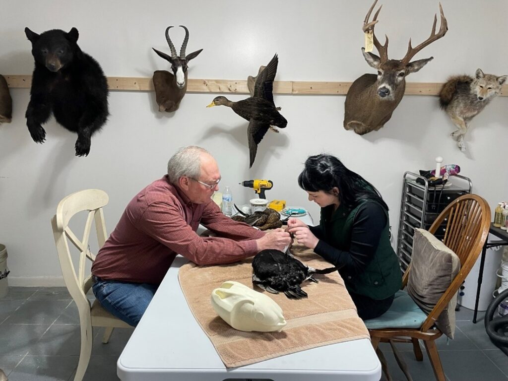 mentor artist and apprentice sitting at a table working with a needle. Across the back of the frame are various taxidermied animals hanging in a row.