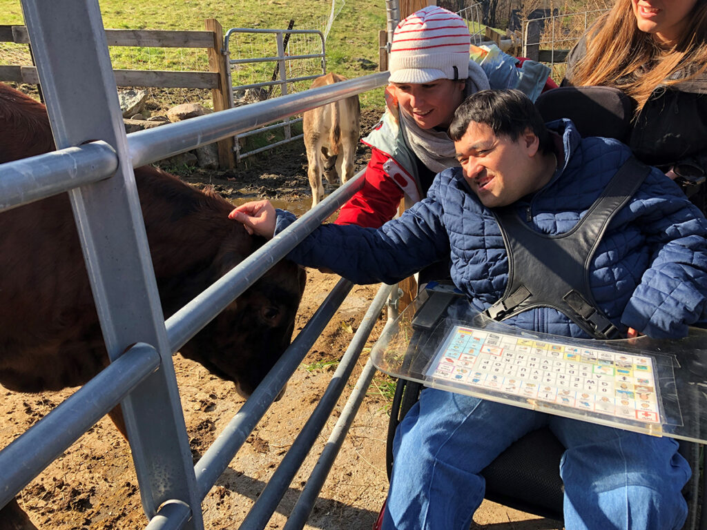 Michael is seen in his chair on the right side of the photo reaching left through a metal gate to touch the bowed head of a cow. Erin is tucked close behind him. Both are wearing winter garb, the sun is shining on their faces, and they are both smiling.