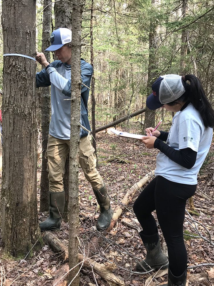 Two students stand in a forest, one student measures the circumference of a tree trunk while the other writes on her clipboard.