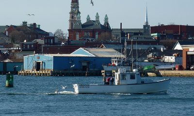 photo of a boat in Gloucester Harbor, the city's skyline in the background