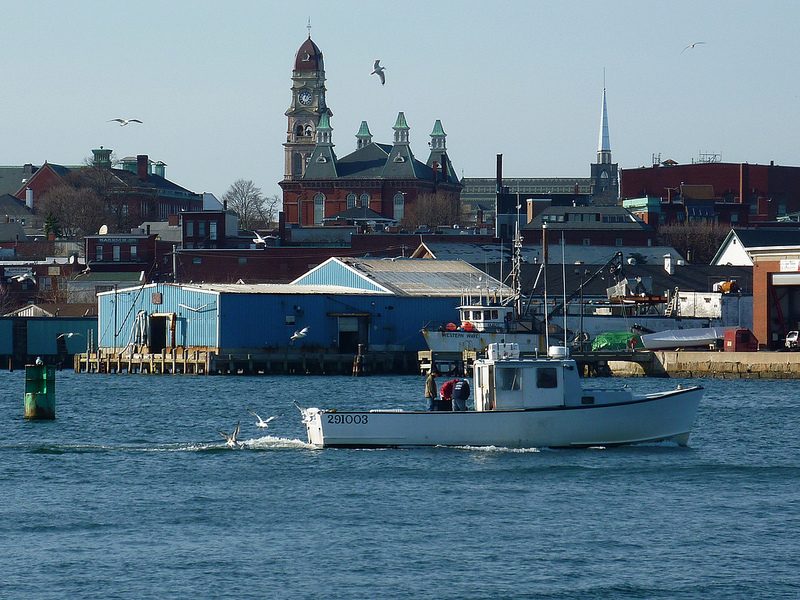 photo of a boat in Gloucester Harbor, the city's skyline in the background