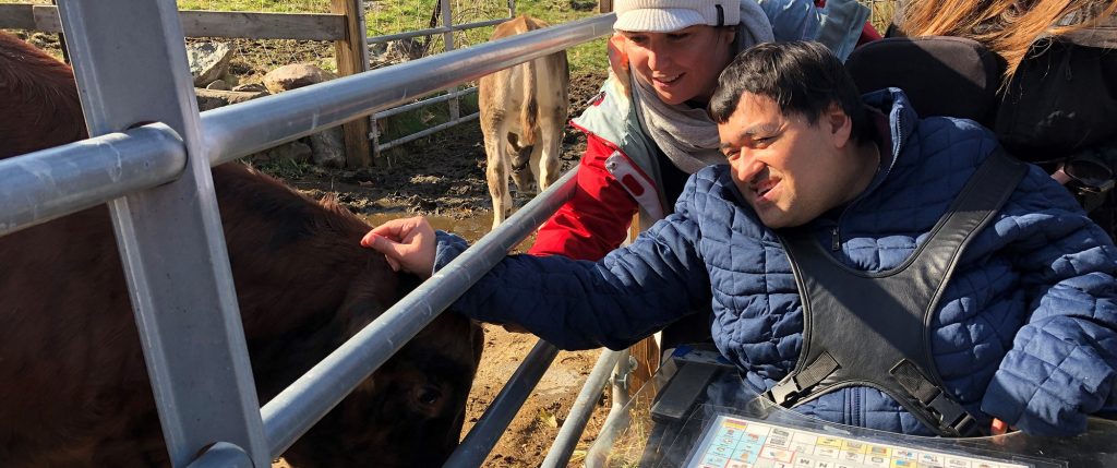 photo of 2 visitors to Drumlin Farm. One, a man in a wheelchair, has a communications device in his lap and is reaching through a fence to touch a cow. The second, a woman not in a wheelchair, crouches down with him to admire the animal.