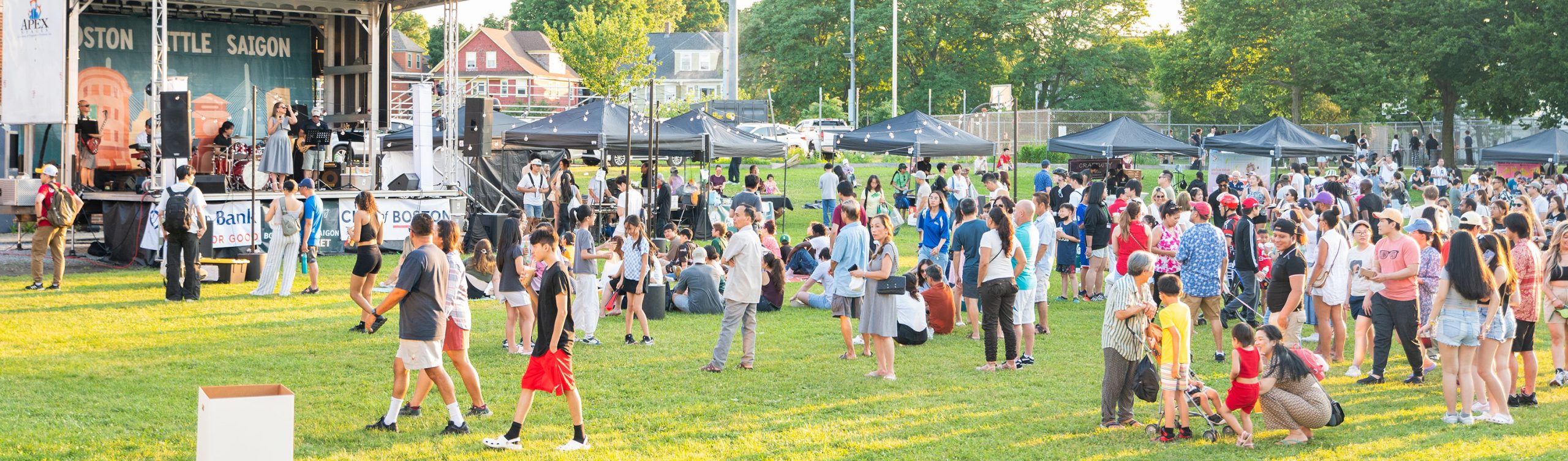 photo at twilight of people standing in a green field watching a performance, a row of black vendor tents is in the background.