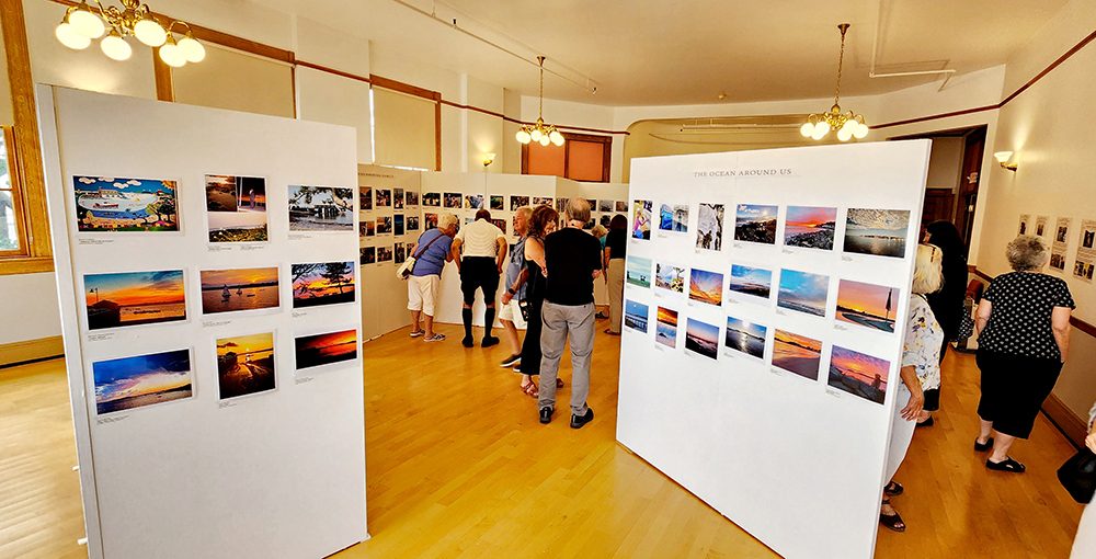 photo of multiple white panels spaced throughout a room each has many photos attached. People are walking around the panels looking at the exhibit 