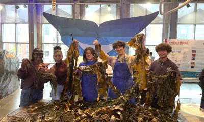 Five teen Apprentices standing behind a large pile of seaweed, smiling and holding up seaweed with a decorative blue whale tail as a backdrop.