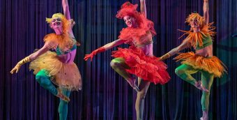 photo of 3 ballerinas dressed in rich colors holding a passé position.