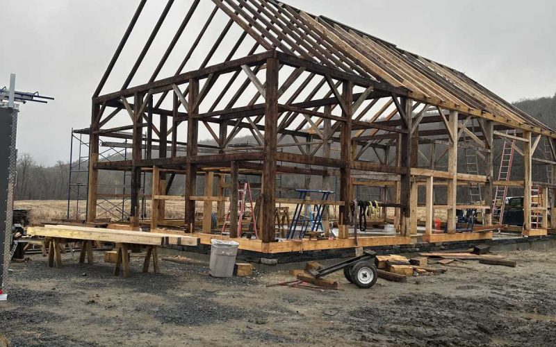 Construction work on the framing of a barn on the Wilder Homestead