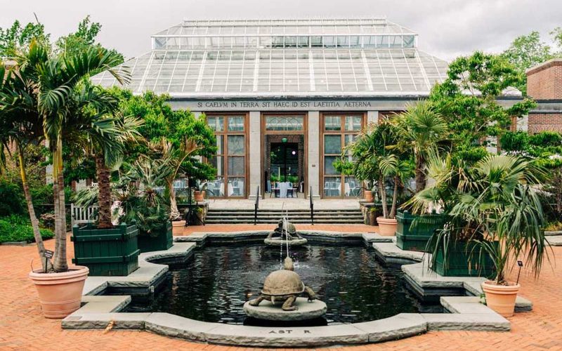 Courtyard with fountain at the New England Botanic Garden