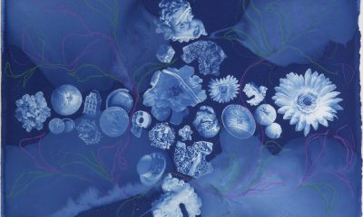 cyanotype print of many household items, including a hydrangea, a daisy, a roll of scotch tape, an orange, and a tea cup with saucer.