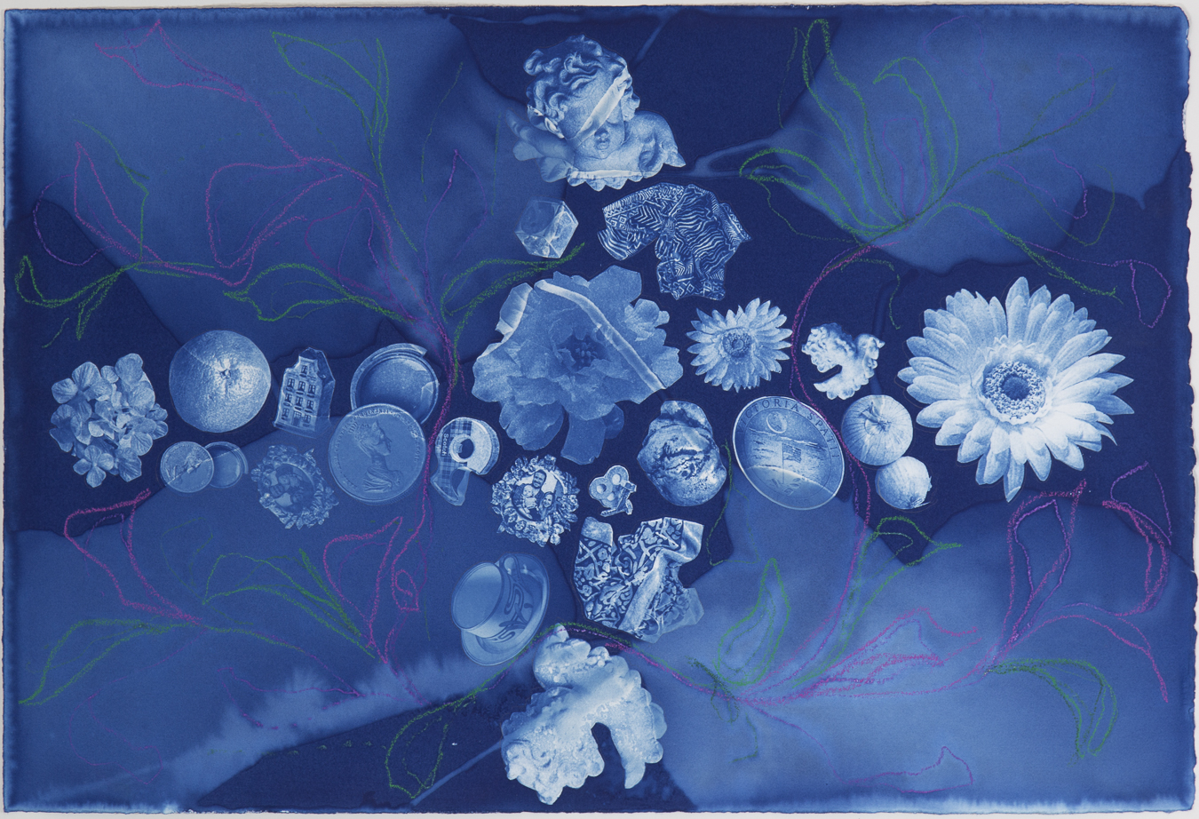 cyanotype print of many household items, including a hydrangea, a daisy, a roll of scotch tape, an orange, and a tea cup with saucer.