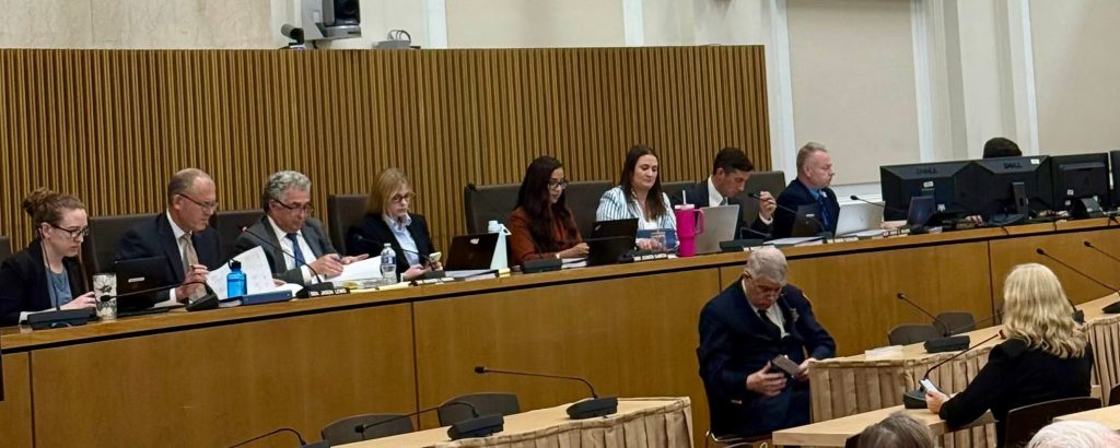 photo of a panel of people listening to a person give testimony.