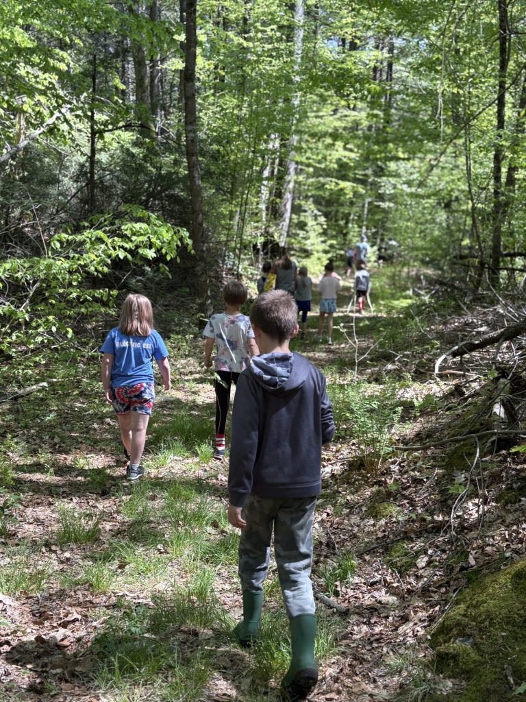 photo of a lush, green forest trail and the backs of three students walking.