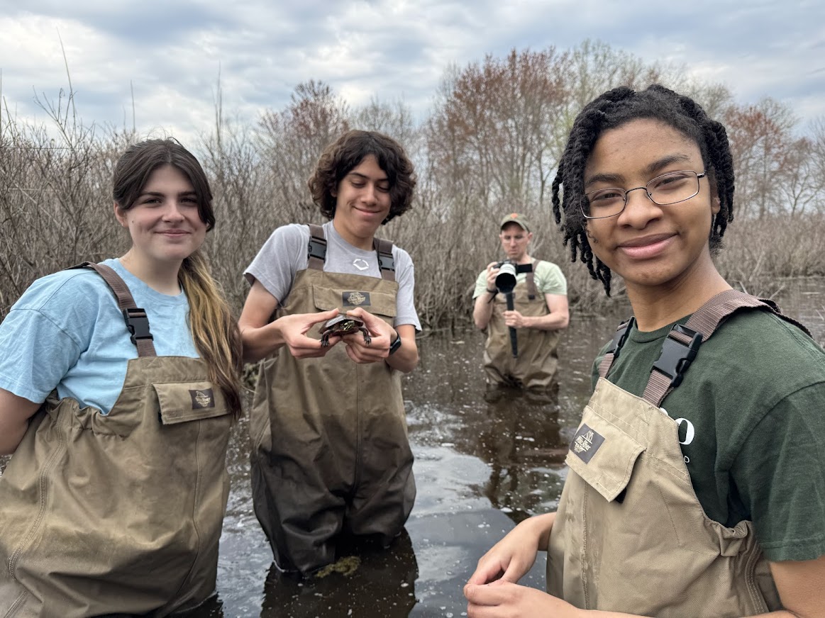 photo of 3 young people in waders smiling in waist-deep pond water. One is holding a wee turtle.
