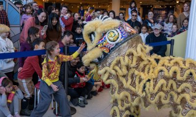 photo of a delighted child reaching out to touch a dragon during a Lunar New Year Celebration. Behind her, a crowd of attendees are smiling and taking photos with their phones.