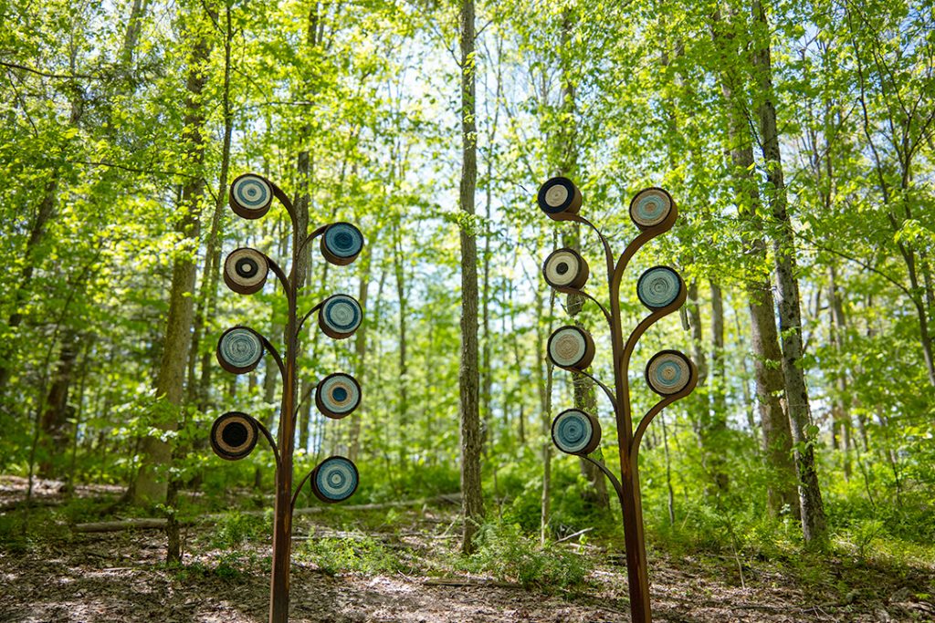 photo of a sculpture in the woods.