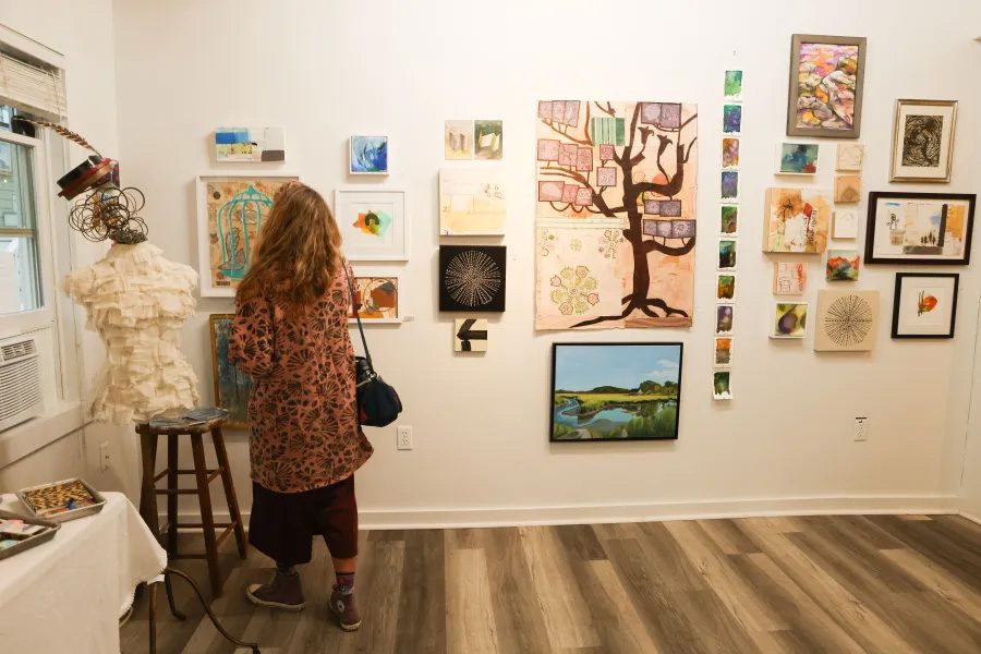 photo of a women standing in a gallery space looking at the art.