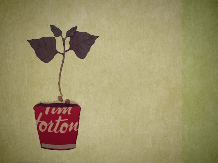 A still image from a hand-made animated film, depicting a plant growing out of a Tim Hortons coffee can.