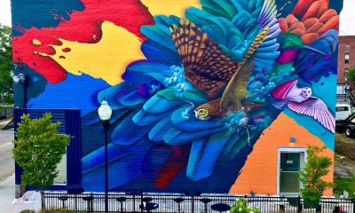 photo of a mural with bright splashes of color and an owl in flight.